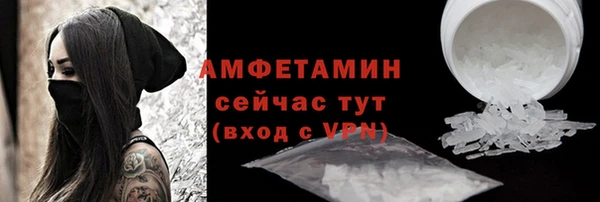 прущие грибы Балахна